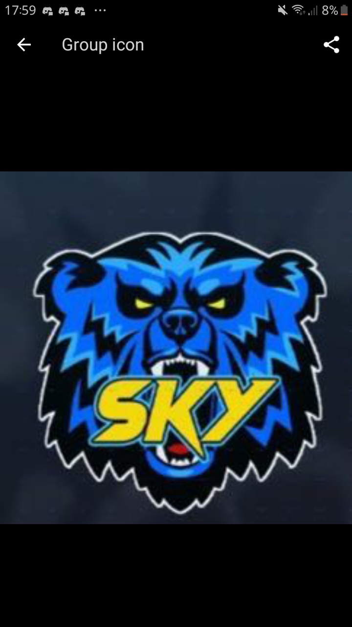 SKY ESPORTS