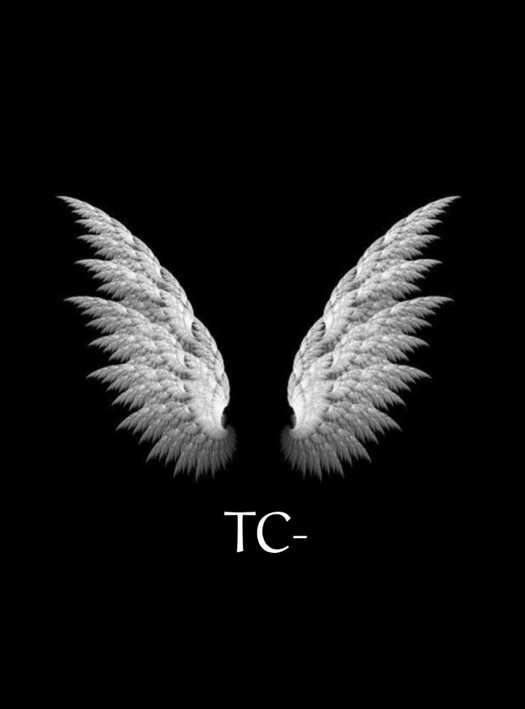TC FW