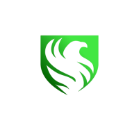 Team Falcons eSports