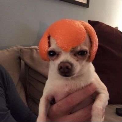dfhdfhdhdhf