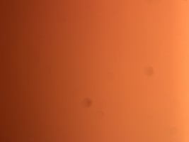 Invitation Banner