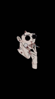 Sngl