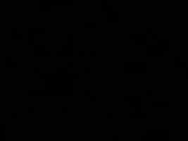 Invitation Banner