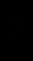 Invitation Banner