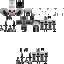 Shadow War