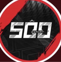 FIVE Houndred ESPORTS