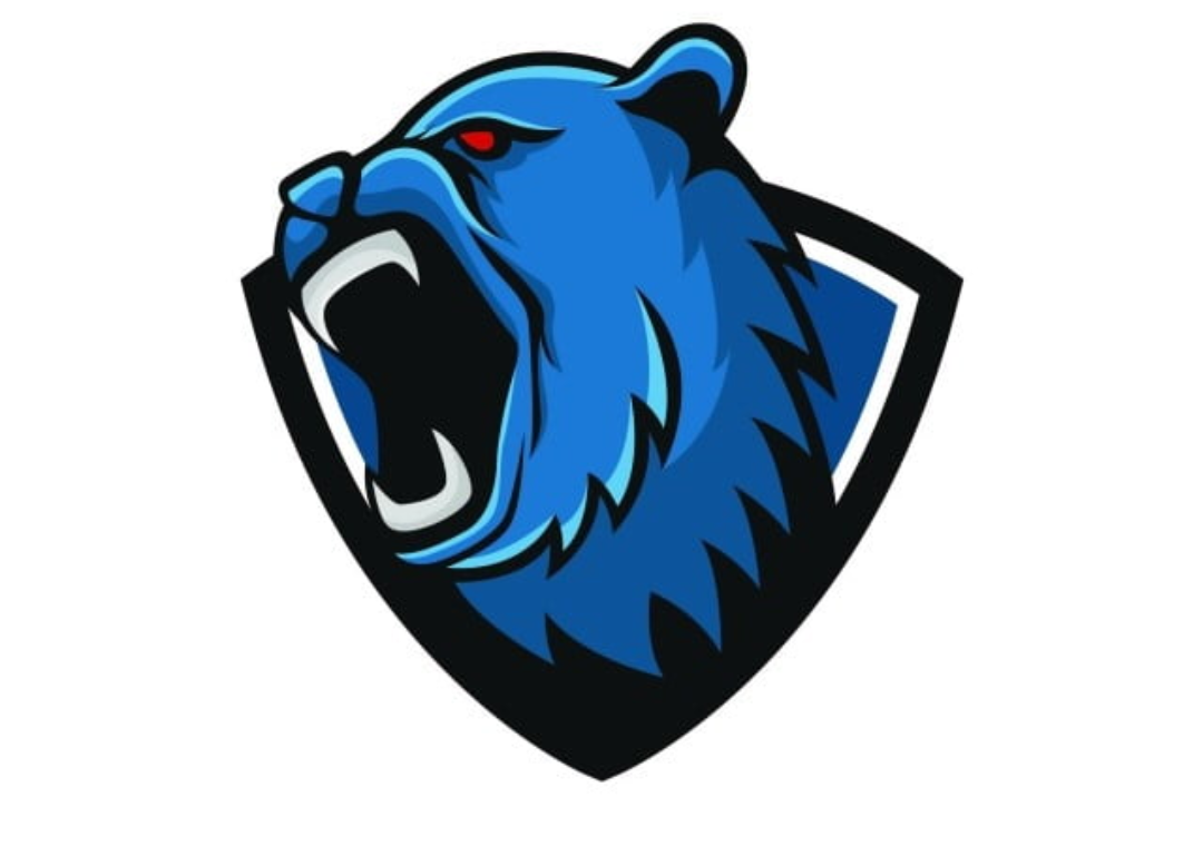 Natus Vincere