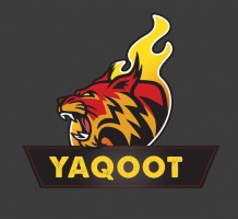 Natus Vincere
