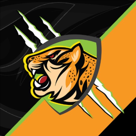 Natus Vincere