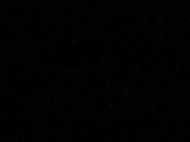 klzr4