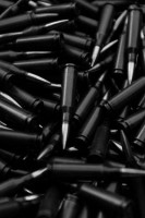 Black Bullets
