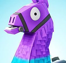 Team Llama