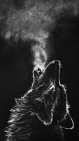 vWolvesComingx