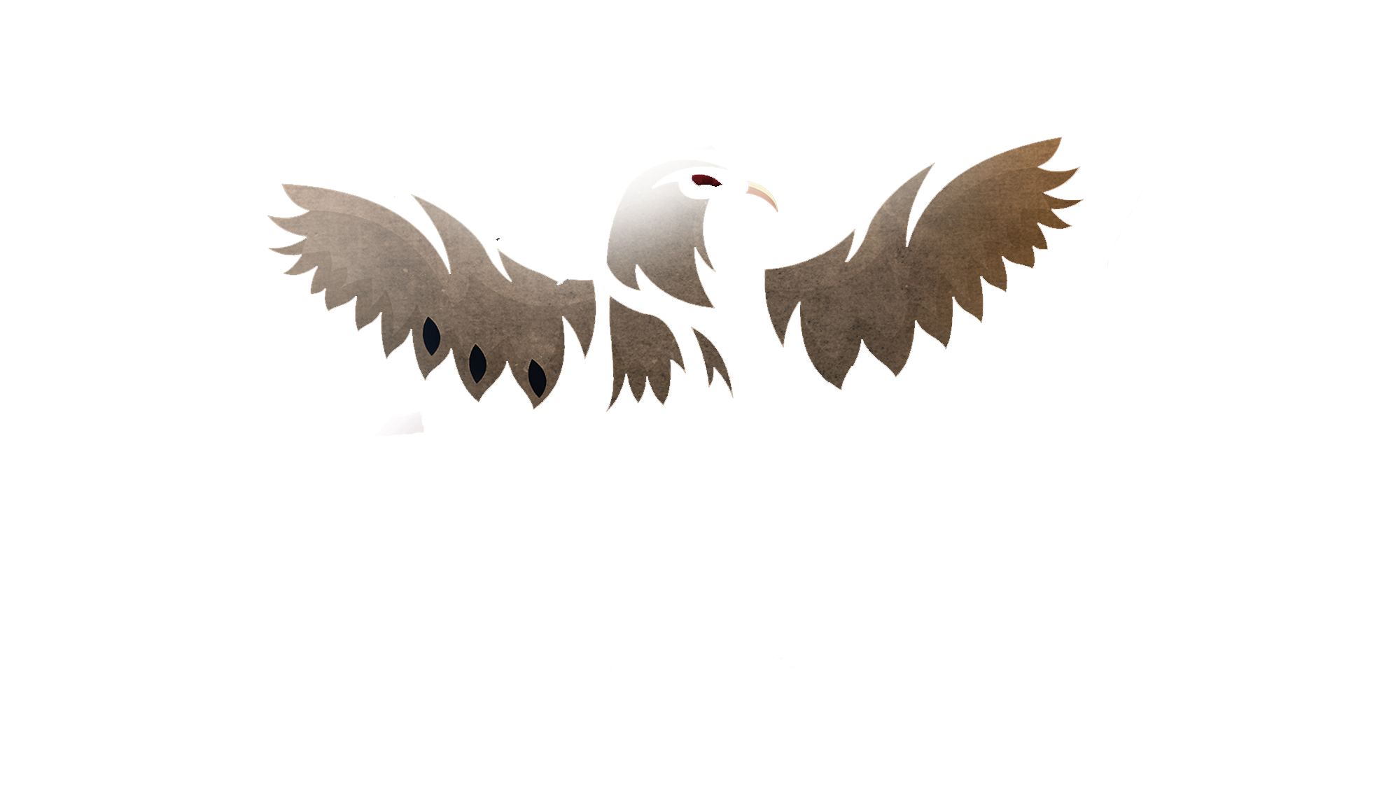 Hawk eSports 2