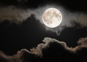 Moon Lightt