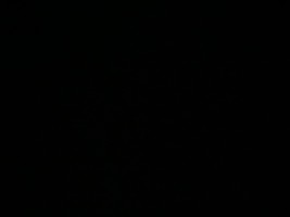Invitation Banner