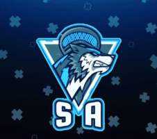 Sa EsportsS
