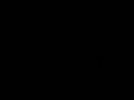 TVTV
