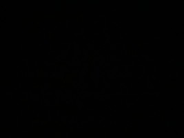 Invitation Banner