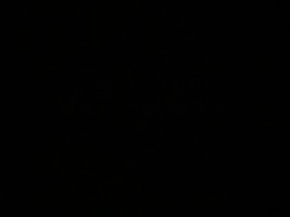 Invitation Banner
