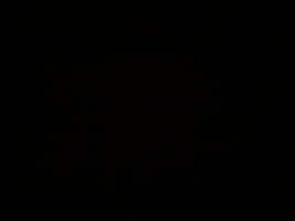 Invitation Banner