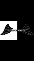 Team wings