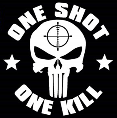 One Shot One Kill