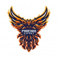PhoeinxEsports
