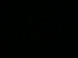Invitation Banner
