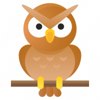 Angry birds