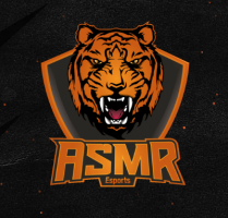 ASMR RL TEAM