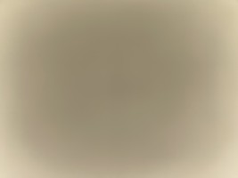 Invitation Banner