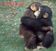 Monkey Monkey