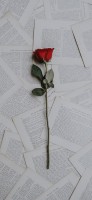 Invitation Banner