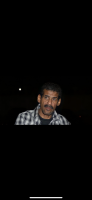 Ali bahar