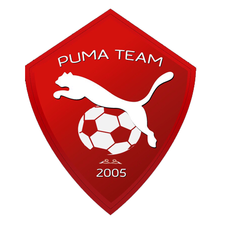 Puma bomb tems