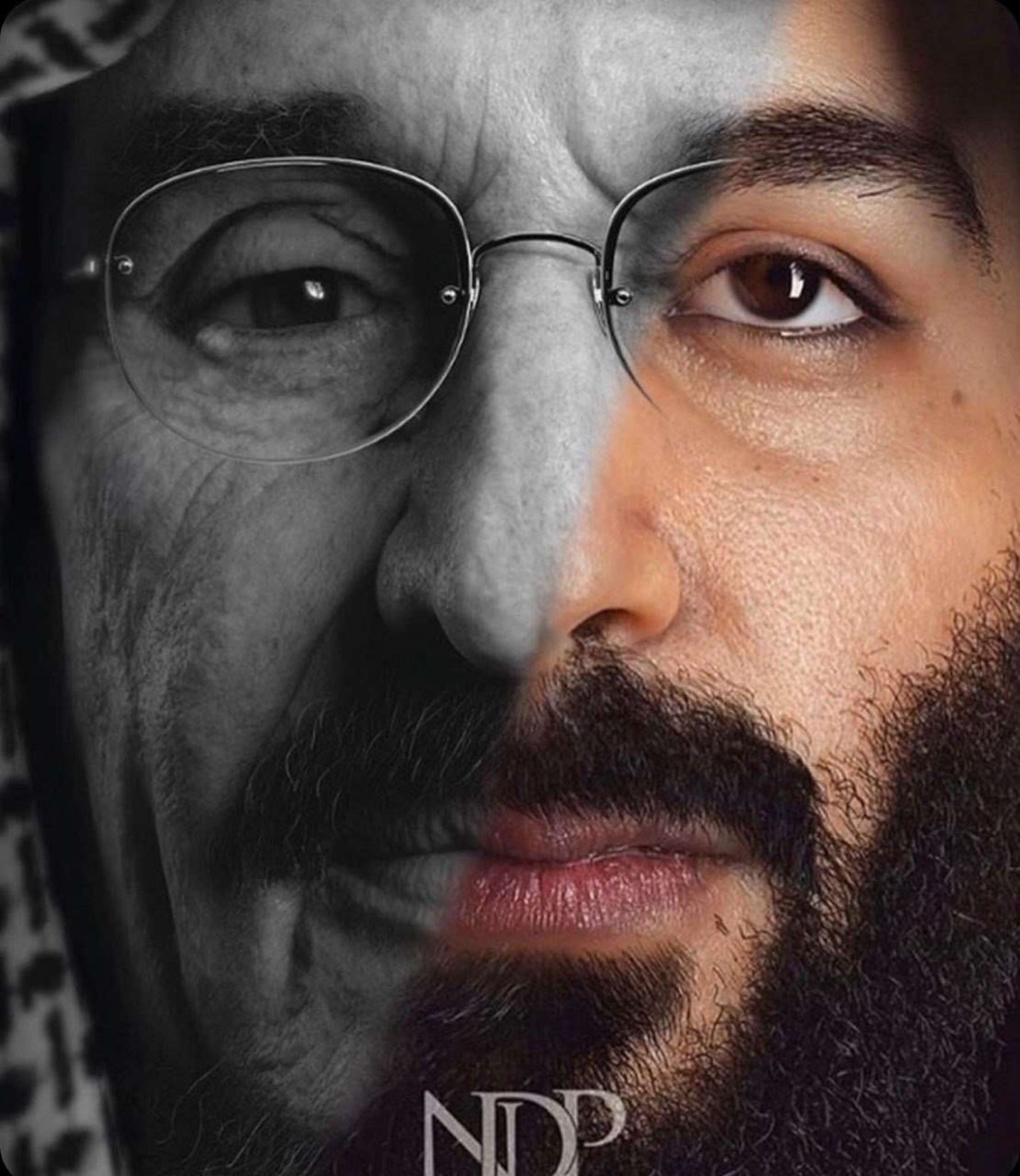 Osama qub