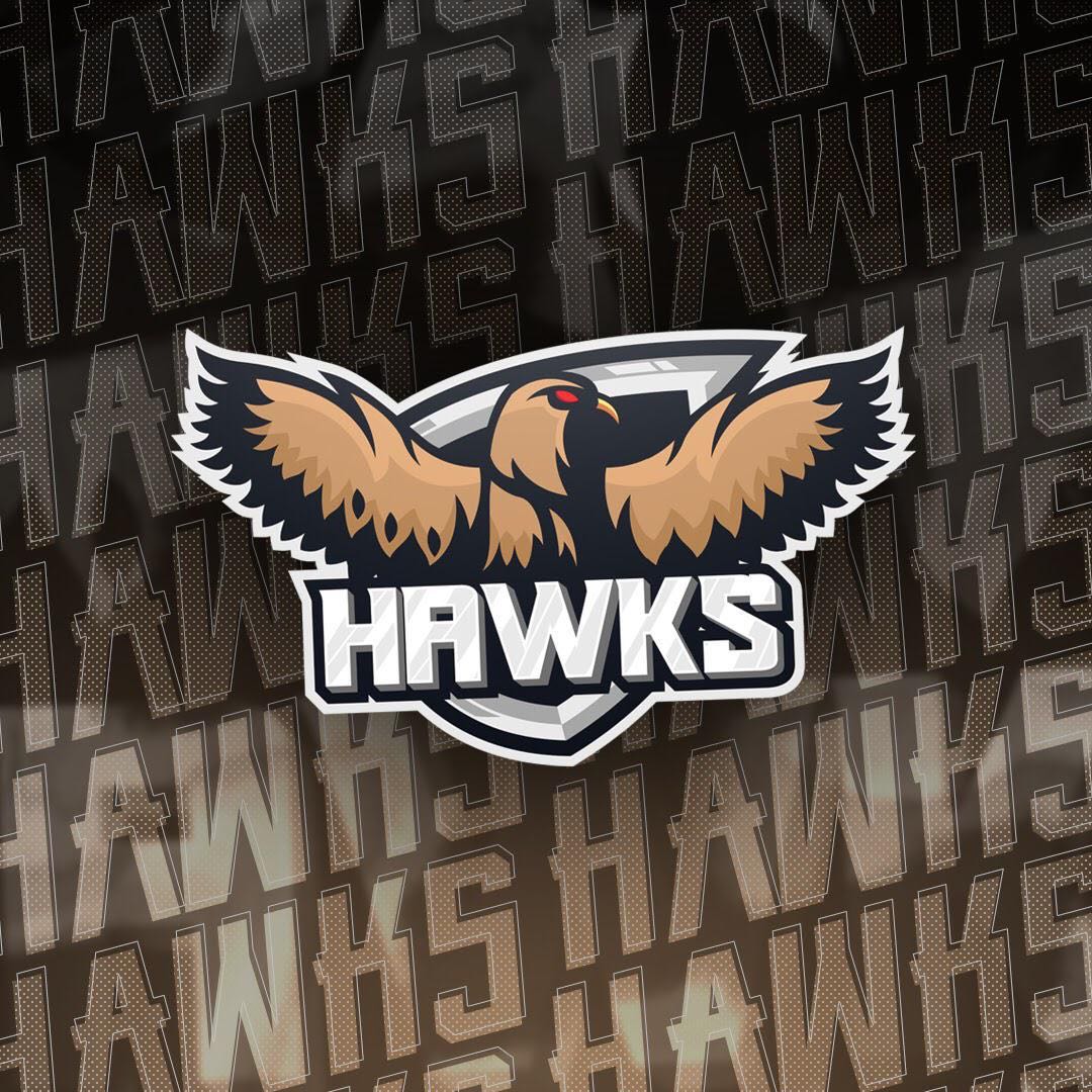hawksesports24k