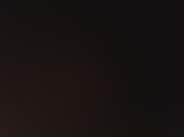 Natus Vincere