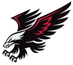 White hawk