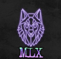 MLXe