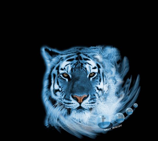Bluetaiger
