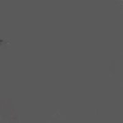 Invitation Banner