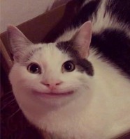 lBy The Wayl
