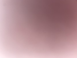 Okoa