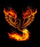 Order of the Phoenix