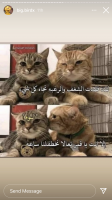 Fareg Alasod