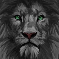 Team Tiger