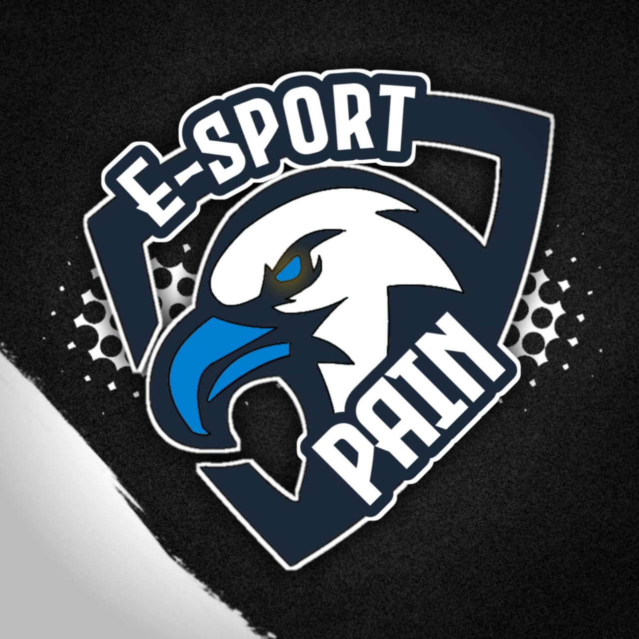 Pain Esports