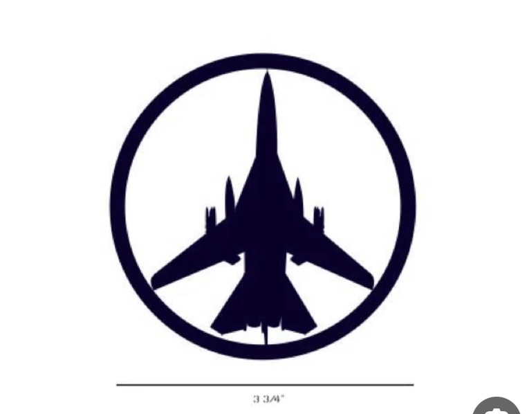 F111